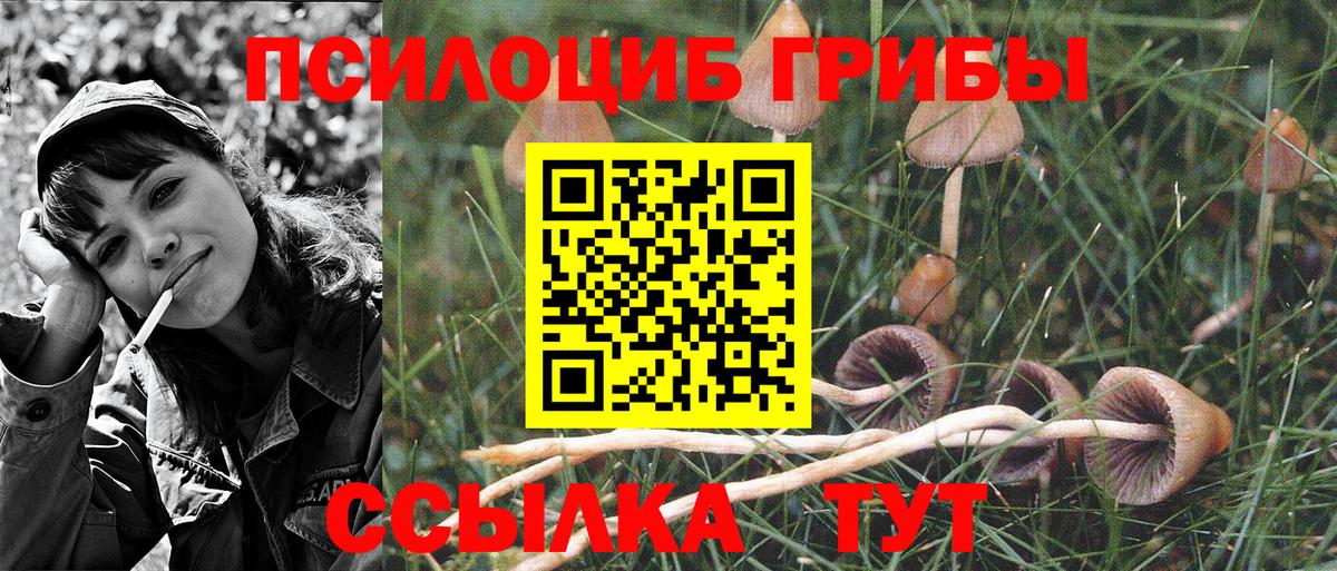 Псилоцибиновые грибы MAGIC MUSHROOMS Добрянка